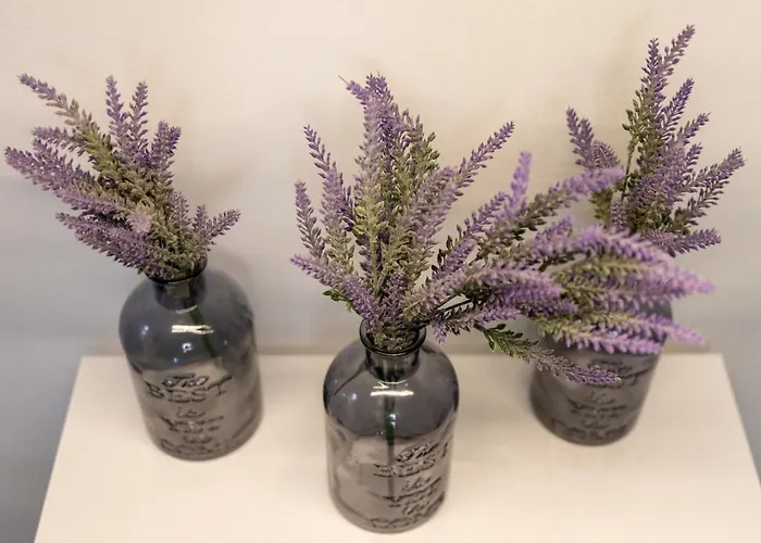 Metropole - Old * ブカレスト