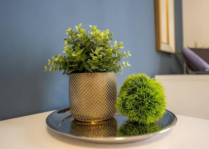 Metropole - Old Διαμέρισμα *