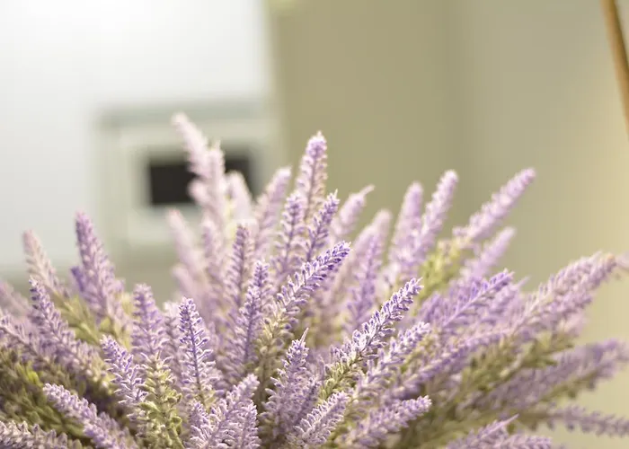 Metropole - Old Lejlighed