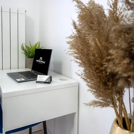 公寓 Metropole - Old *