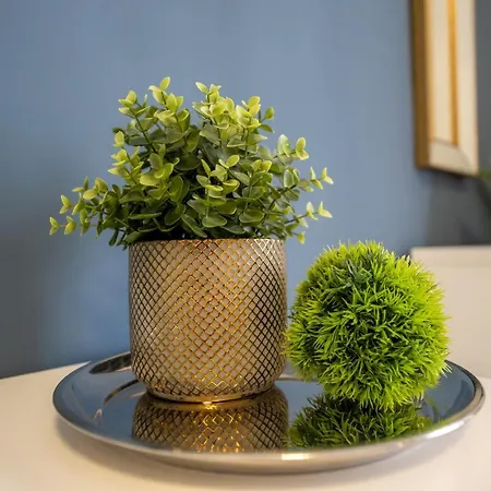 Metropole - Old 公寓 *