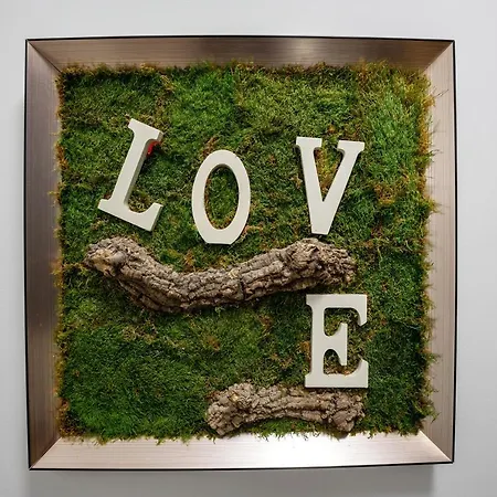 Metropole - Old * 布加勒斯特