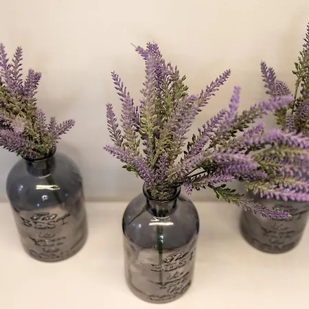 Metropole - Old * 布加勒斯特