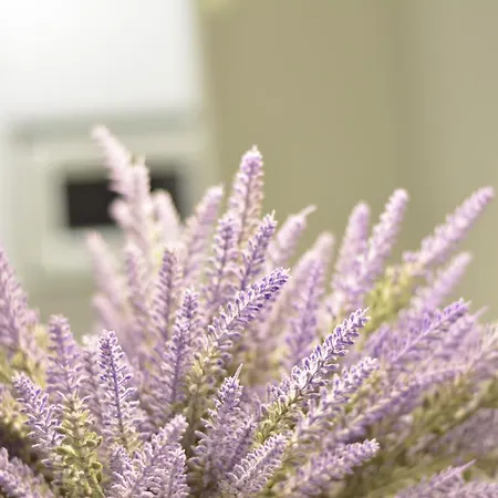 Metropole - Old 公寓