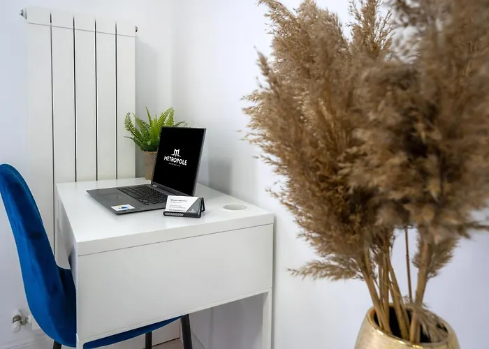 Apartman Metropole - Old *